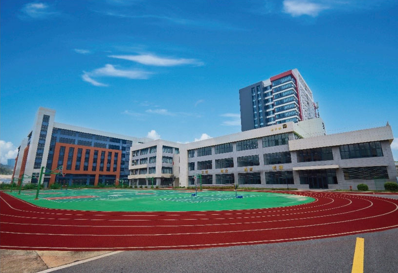 ddeb5254-b59c-49df-a8fc-a6ce34a2f8b5.png